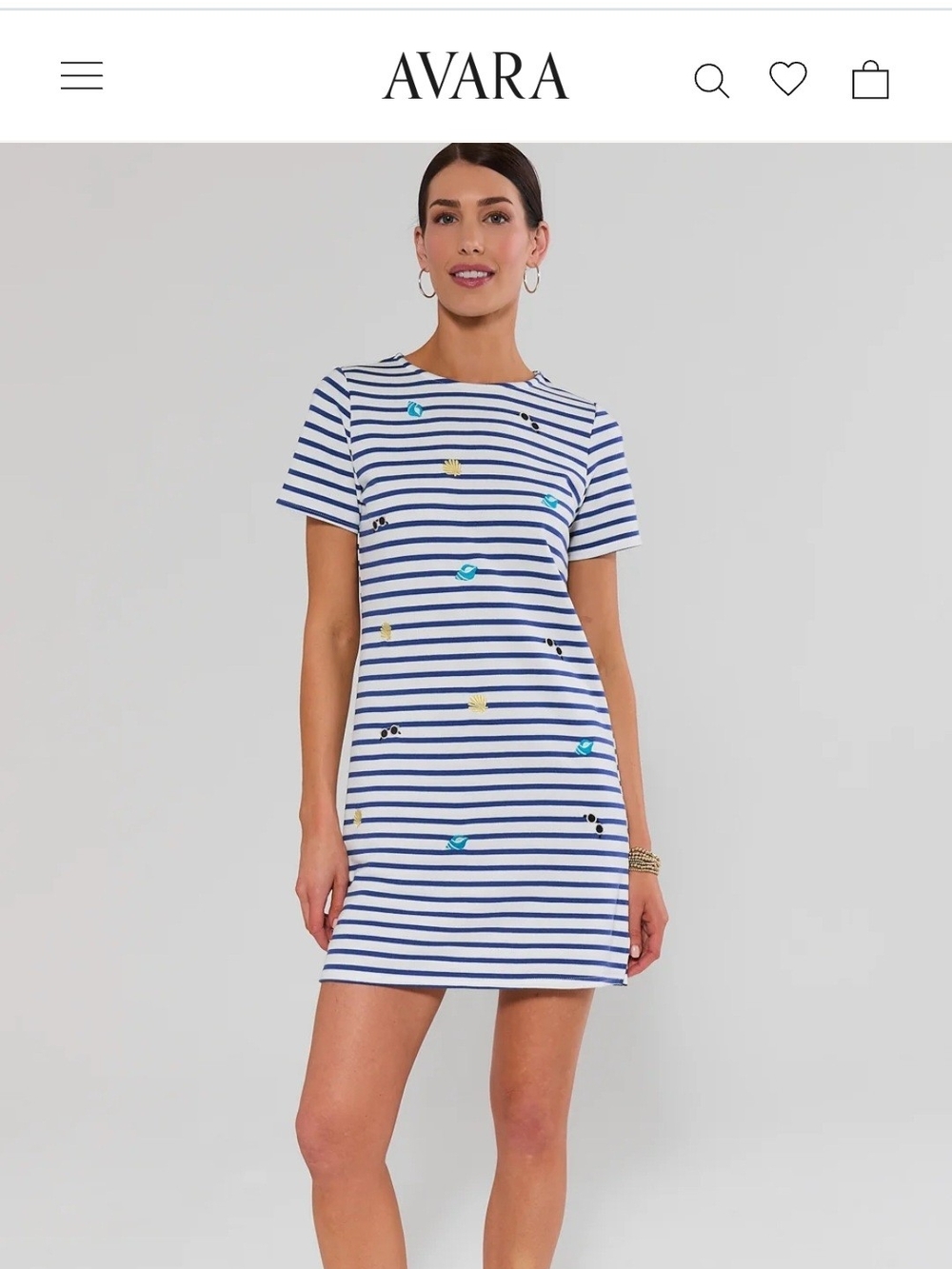 AVARA Blue & White Striped Embroidered Mini Dress
